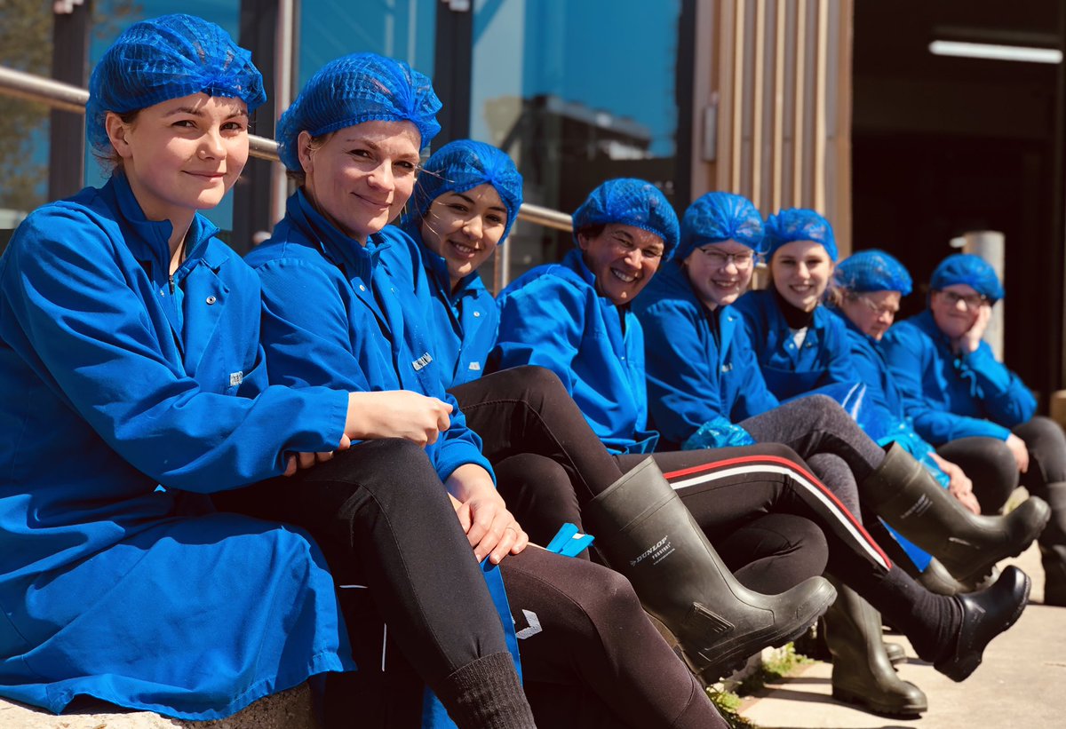 noordzeeinter's tweet photo. Off for the weekend some of our staff enjoy the sun! Engaged, enthusiastic, and loyal employees are pivotal drivers of growth and health in our organization. #team #teamwork #proud #fish #seafood #holland #family https://t.co/kU8udJBG5B