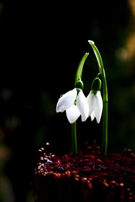 ^Homa^ (@bidadhax57) on Twitter photo 