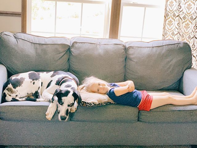 EricasRenee's tweet photo. Spring Cleaning with your pup? How do you #EmbraceLifesMesses ??? AD #TheLibmanCompany ---->https://t.co/1dQubJb1yB <-----
---->https://t.co/1dQubJb1yB <-----
---->https://t.co/1dQubJb1yB <----- https://t.co/jCvbm6esUf