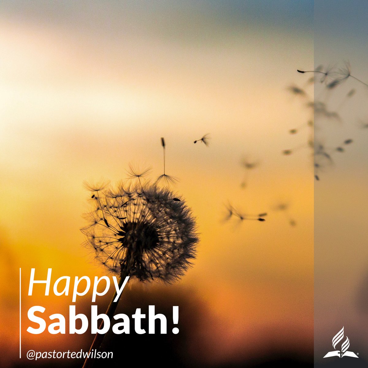 pastortedwilson's tweet photo. Happy Sabbath!

#Sabbath #HappySabbath https://t.co/C1VG9YXb1D