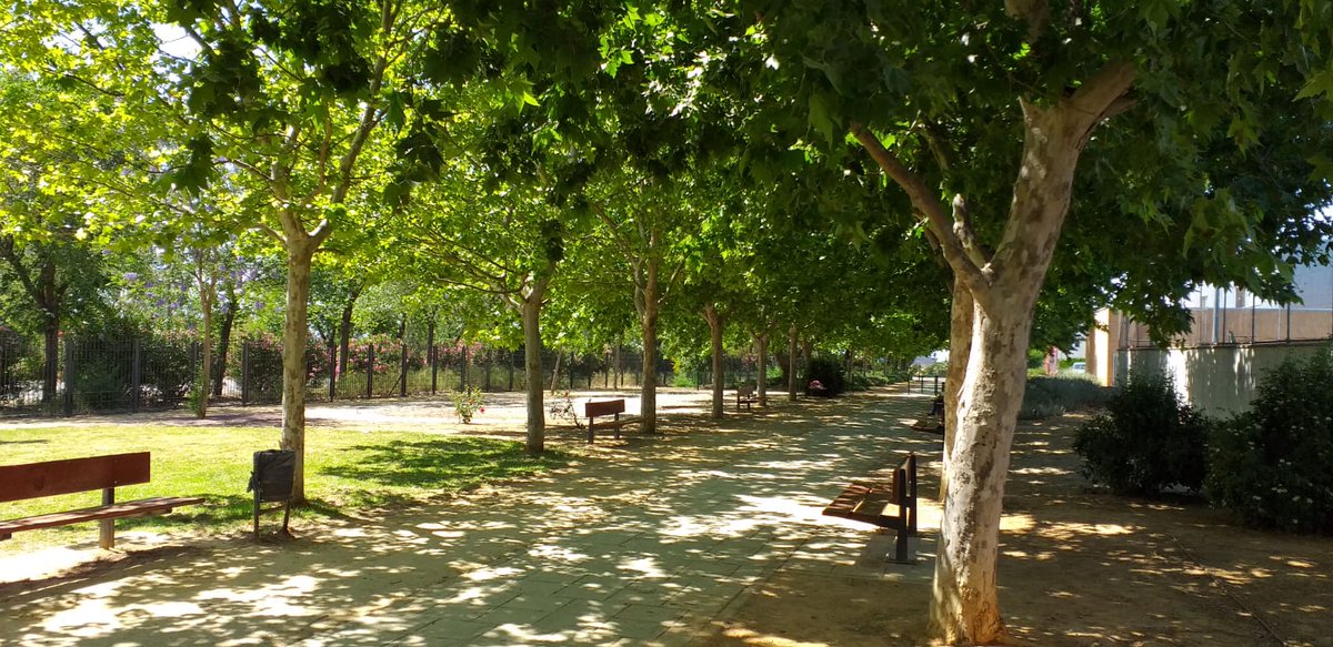 JuanAvilaCARMO's tweet image. Nuevo Parque para Perros en El Pilero

Desde hace unos días, hemos abierto este parque para mascotas en El Pilero

Iremos poco a poco añadiéndole mejoras como la instalación de una fuente, elementos de agility para su entrenamiento y otras que ya están previstas.

Gracias a todos