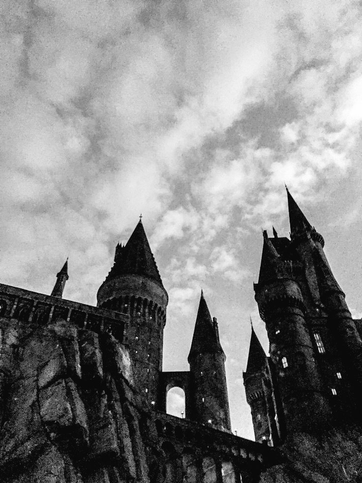 ˚ * . ✵
 　 　　 *　　 * ⋆ 　 .
     THE  GOLDEN OWL
 · 　　 ⋆ 　　　 ˚ ˚ 　　 ✦
 　 ⋆ una amistad irrompible
forjada a través de los años 
 　　　　 ⋆ ✧　 　 · 　 ✧　✵
 　 · ✵