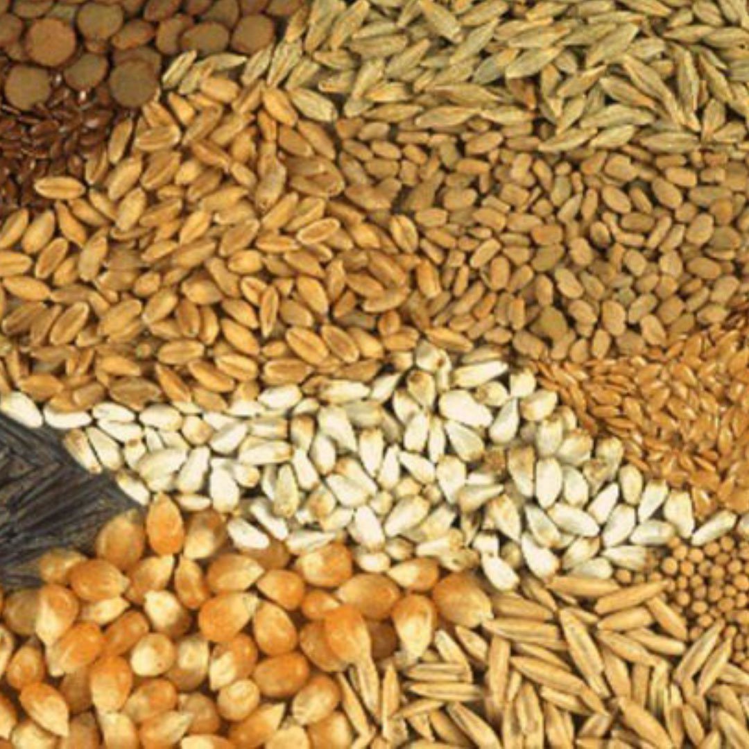 creekside_ltd's tweet photo. Advice from us! Never plant just one type of seed for forage! We can supply you with mixed seed that has the potential to grow 23.4 TONS per acre! That is almost a ton over the average! Let us help you make the right seed decisions. Contact us at https://t.co/Bx4icXIG5f https://t.co/evBe4JT1pR
