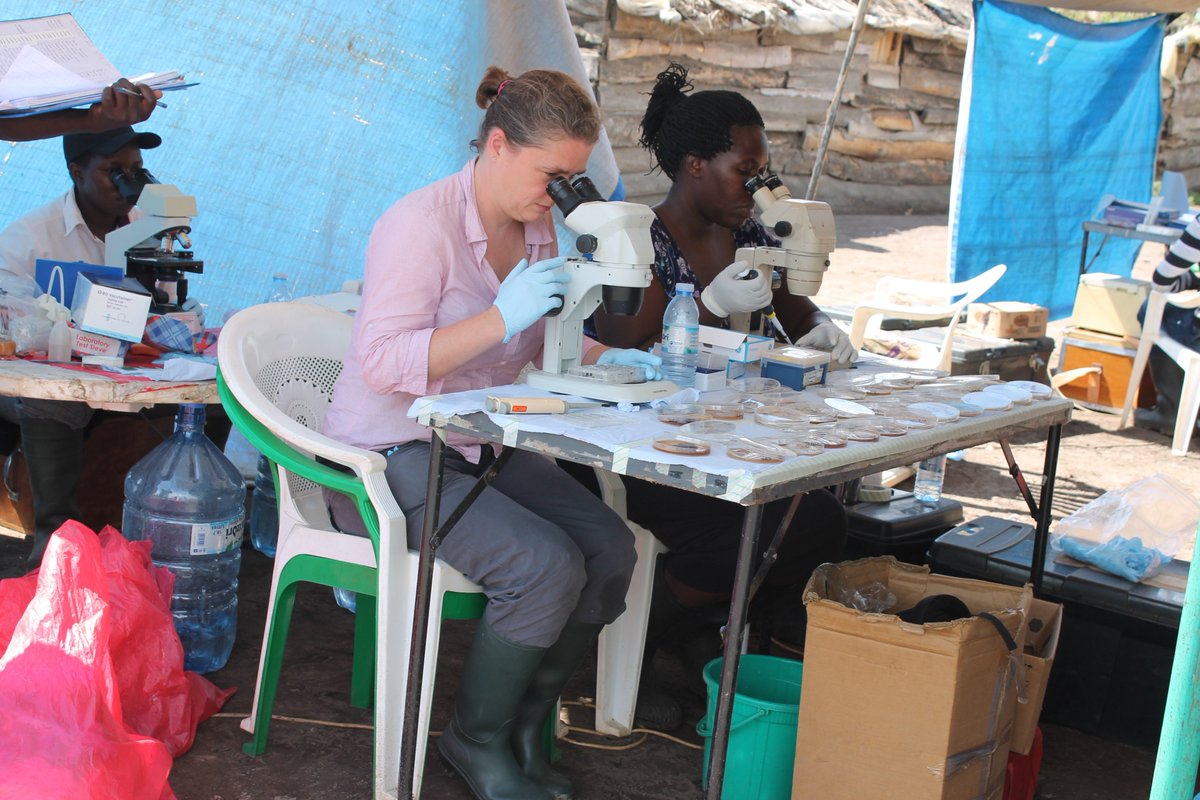 Research Afternoon: NTD Detection and Diagnostics, 6th June, London
bit.ly/2VZl936
Join leading experts for an afternoon discussing some of the latest research on #NTDs detection and diagnosis.

<a href="/schistoresearch/">Bonnie Webster</a> <a href="/NHM_Science/">Science at the Natural History Museum</a> <a href="/JoWebster_Group/">Webster Research Group</a> @lamarevilia <a href="/MRC_Outbreak/">MRC Centre for Global Infectious Disease Analysis</a>