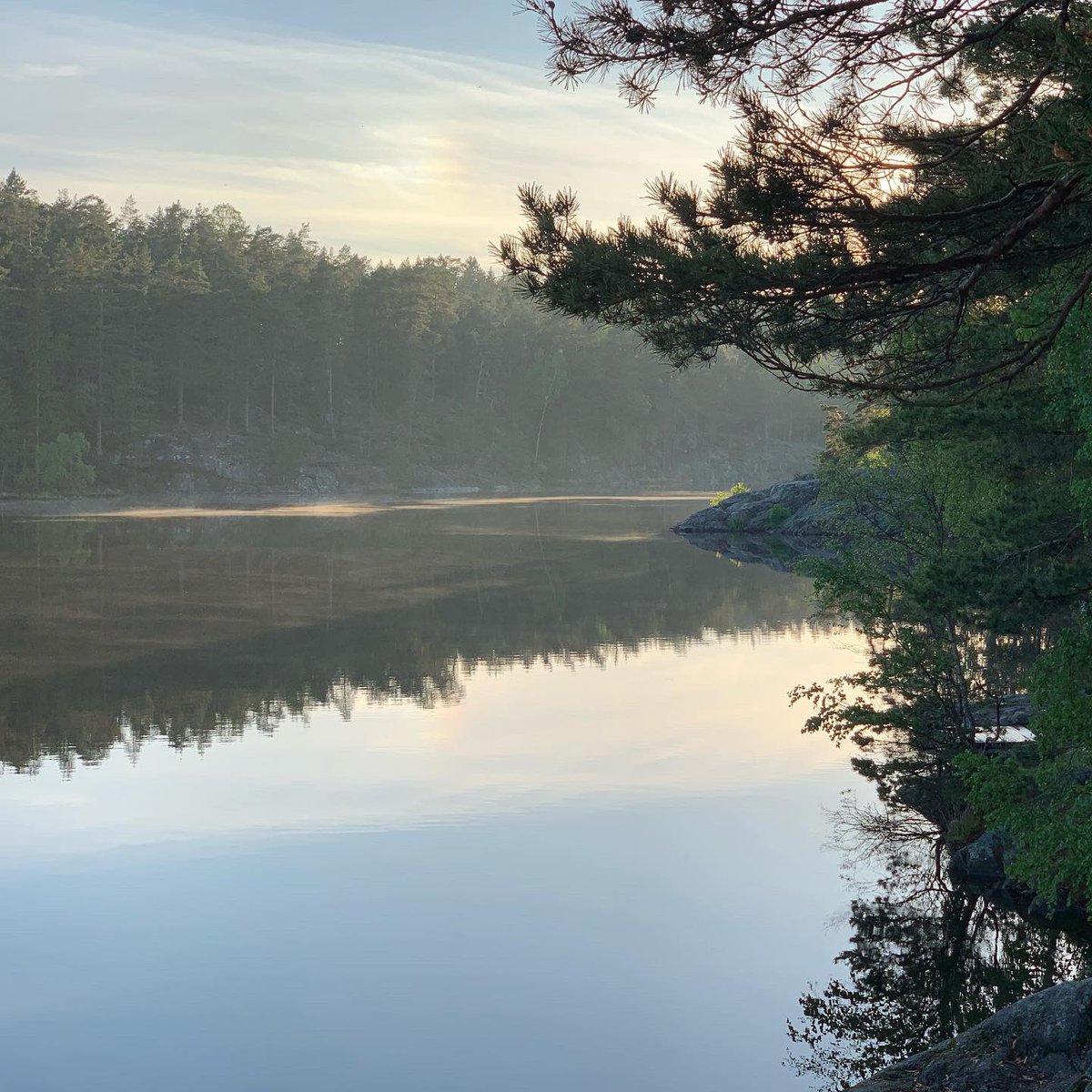 sthlmconnection's tweet photo. We had such an inspiring experience yesterday at @aventyrsbanan where we climbed ropes high up in the trees, cooked dinner on an open fire, hung out in the sauna and swam in the lake. Highly recommended! https://t.co/x8eGEQVZHQ