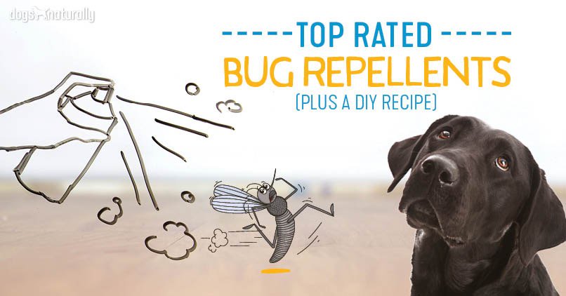 xympleton's tweet photo. #Mosquito season is starting ... 🦟
Here are our #natural repellents for those pesky #bugs - and we added a DIY recipe too! 😉
Check it out https://t.co/iIqBFaFMWK via: DogsNaturally https://t.co/eBtu7HRkJ6