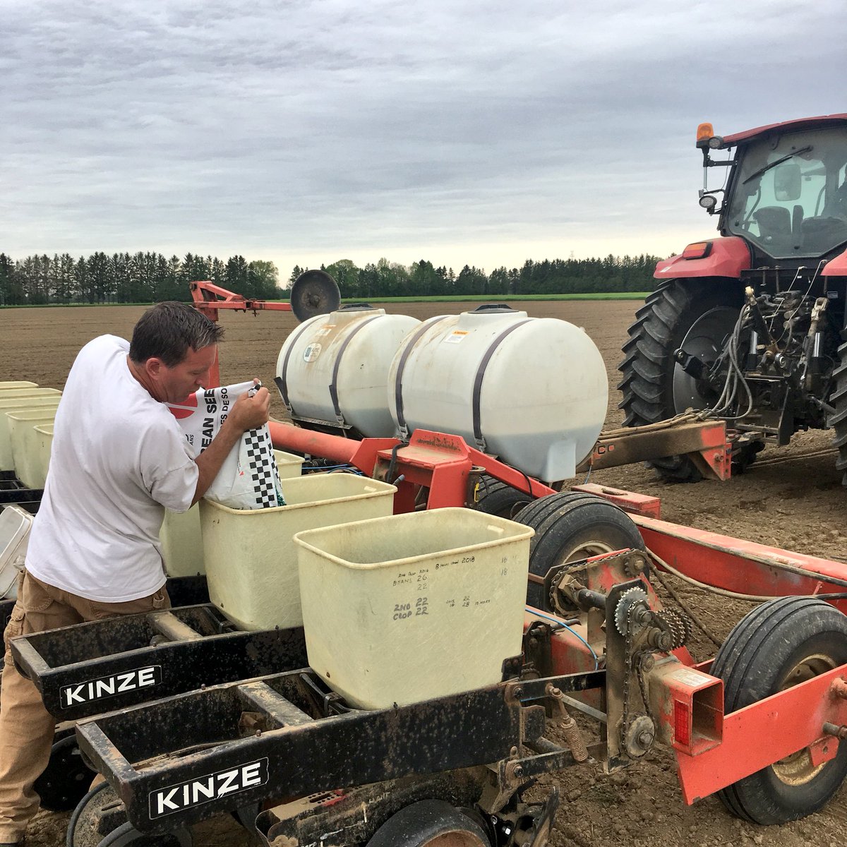 Happy Friday! Beauty morning for our first bean plot @chapple_mc <a href="/PRIDESEEDS/">PRIDE Seeds</a> #prideinmyfield