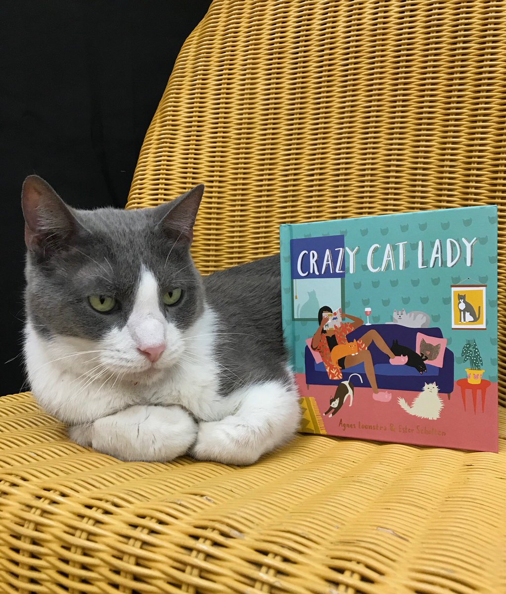 OtisPetunia's tweet image. It's a good day to be a Crazy Cat Lady. #crazycatladybook #workmanpub #bookstorecat
