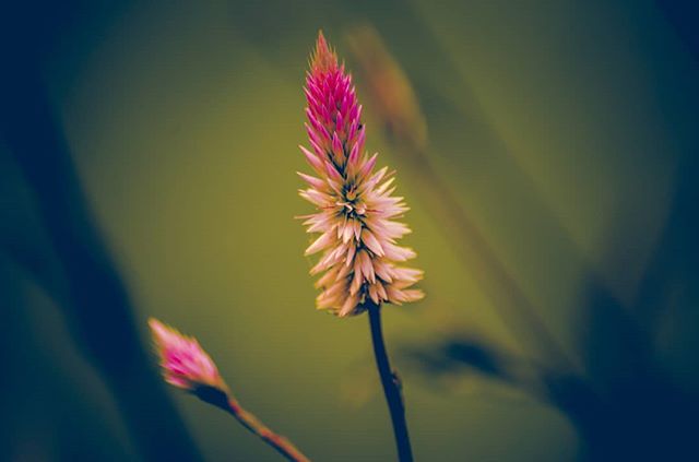 indiapicturesXL's tweet photo. RT @indiapicturesXL: RT @Vagabond_of_01: Focus .
##focus #composition #nikonclicks #nikonphotography #abstractart #abstract #art #nikonclicks #meemamsa #instagood #photooftheday #instaartist #streetphotographyIndia #throughyourlens #indianphotography #in… https://t.co/otADb5qKXF