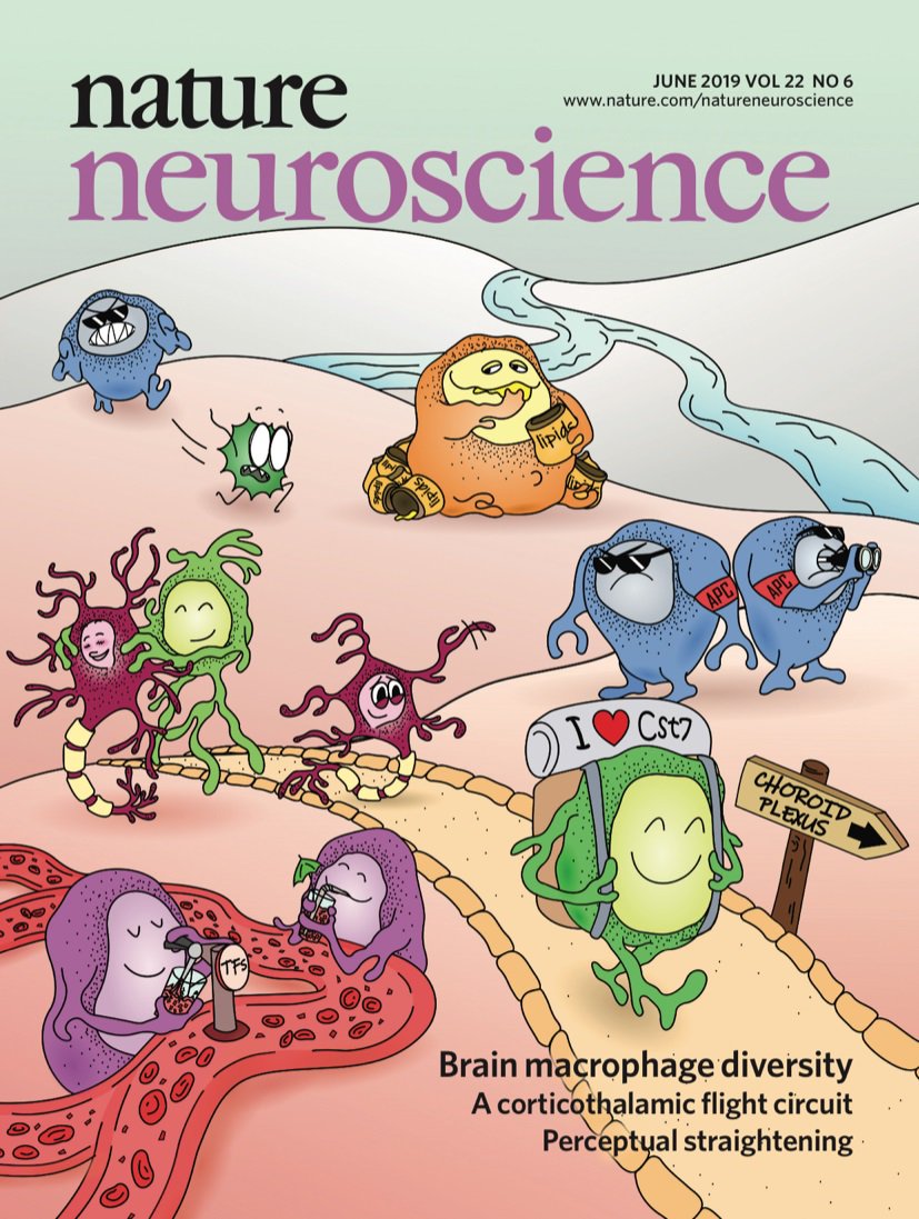 NatureNeuro's tweet photo. Our June issue, featuring some adorable macrophages, is now live! https://t.co/1ofvseHWPu https://t.co/0wAJnEXuz1