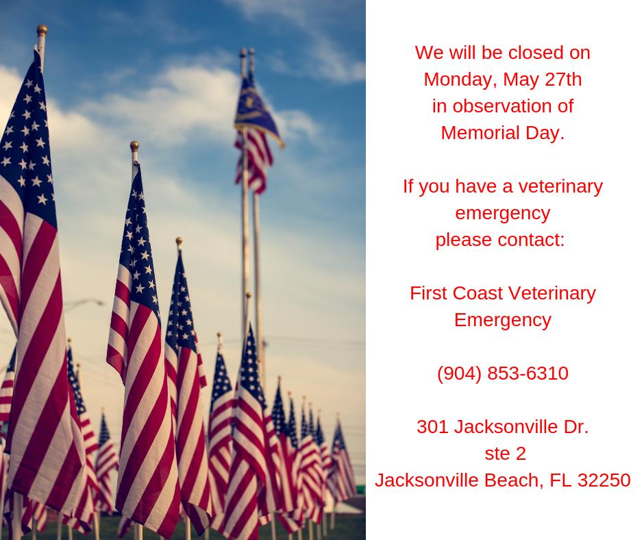 FCANIMALCLINIC's tweet photo. Just a reminder, we will be closed on Monday, May 27th for Memorial Day! https://t.co/kEo6eEasRL