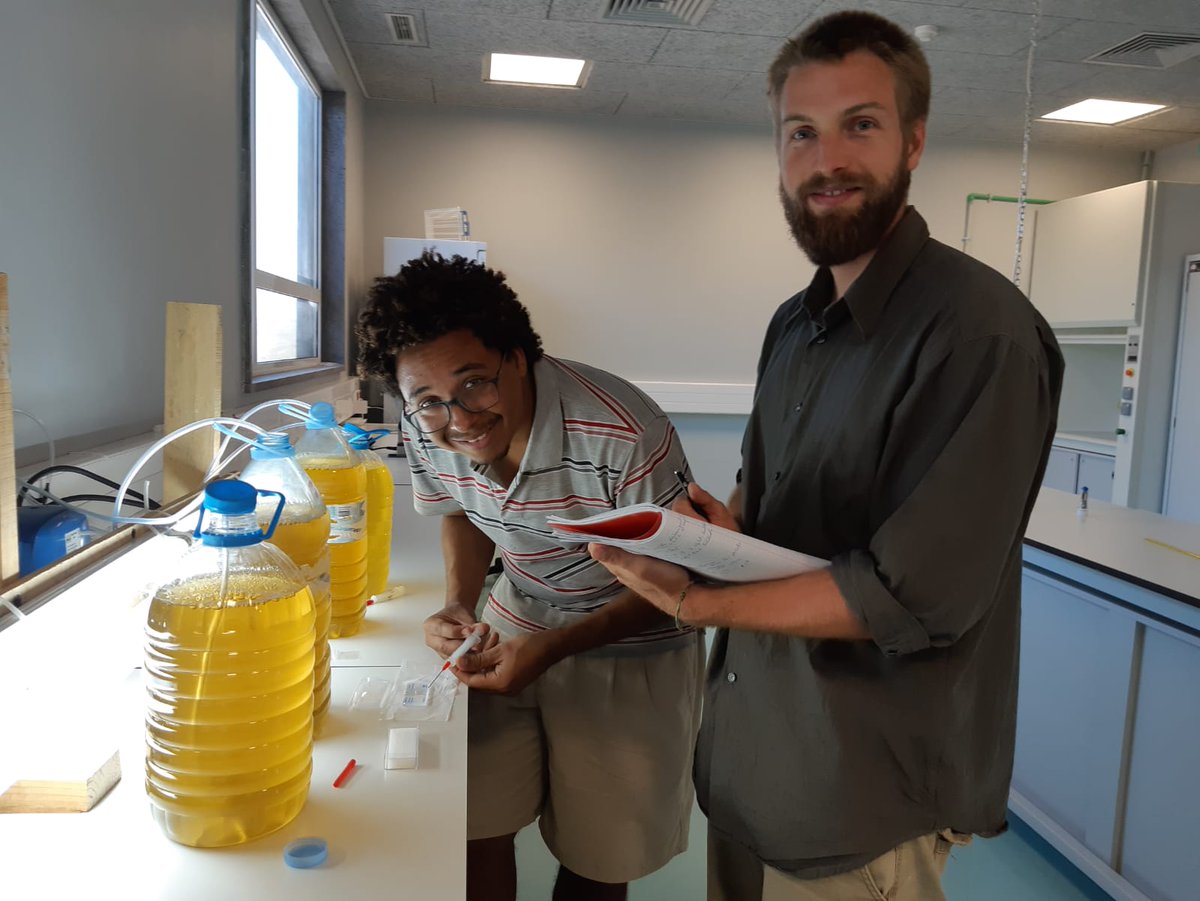 OSCM_'s tweet photo. Welcoming 2nd Edition of #GAMEProgramme at OSCM run jointly by @GEOMAR_en & @uni_edu_cv. Paulo & Leo collecting a sample of Thalassisira weissflogii for measuring the cell density. With this microalgae Team #CaboVerde will feed its bivalve filter feeders during the experiment. https://t.co/stJ7BWbuw9