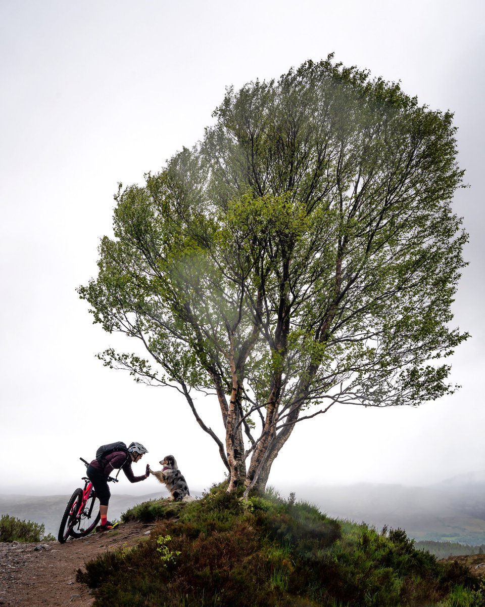 High five your bestie, it’s the weekend! ✋🐶☺️ #heyletsgo #whatsworthit