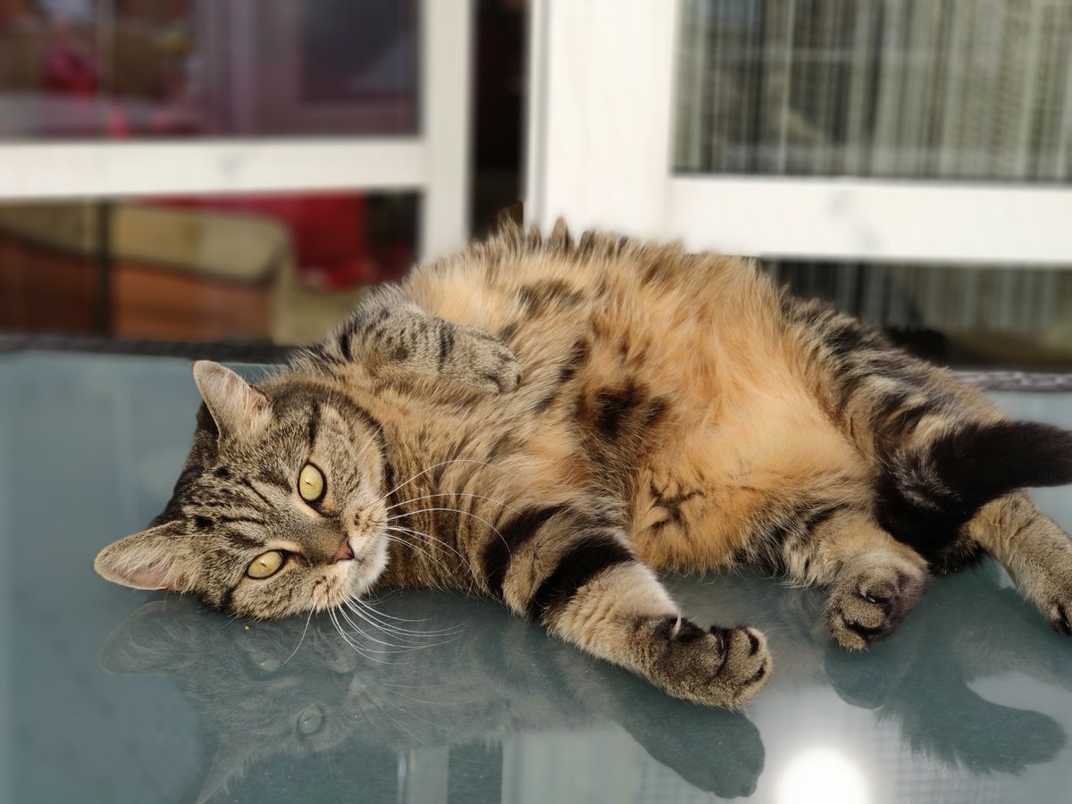 [Bild: D7WHKwxW4AAG-tL.jpg]