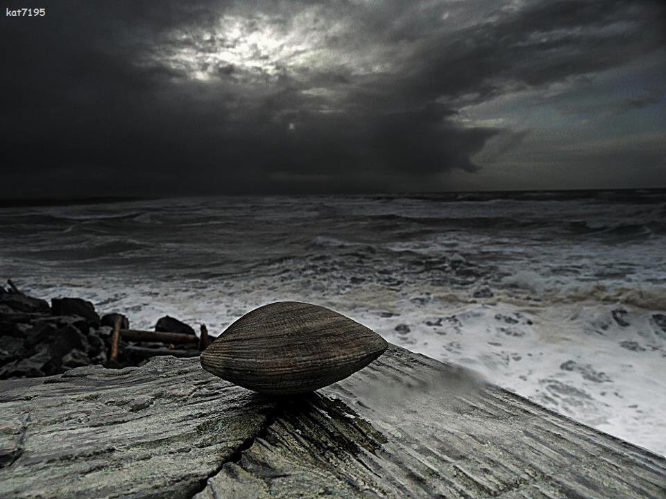 Bobby Markle tweet media