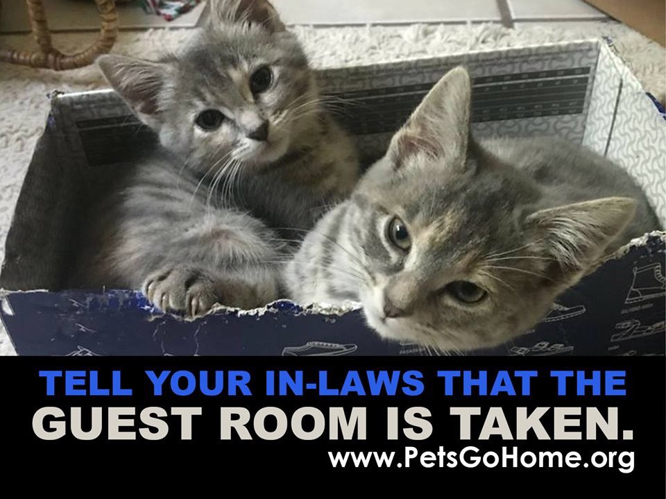 Humane Society tweet media