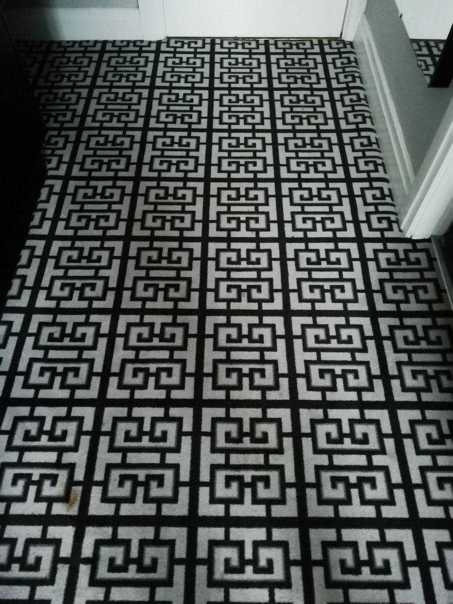 CatherineSmale's tweet image. This is the carpet in the hotel room I&apos;m staying in tonight. 😵😵😵 #migrainenightmare #visualstress