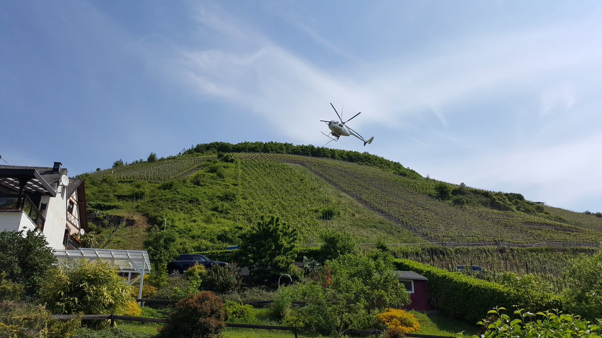 Rehschopp's tweet photo. ...spot the helicopter...the intrepid pilot flies so low and performs amazing aerobatics as he sprays the vines...great entertainment...and free!!! https://t.co/MRShA7u66y
