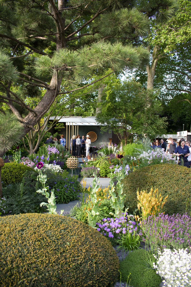 MartynWhiteLDN's tweet photo. What a privilege to have the opportunity to walk the gold award winning @chrisbeardshaw garden at @The_RHS featuring incredible works by @camerondesign and @TomFaulkner
#camerondesignhouse #tomfaulkner #rhs #rhschelseaflowershow #showgarden #flowers #floral #garden #gardening https://t.co/dYnfgP93eR