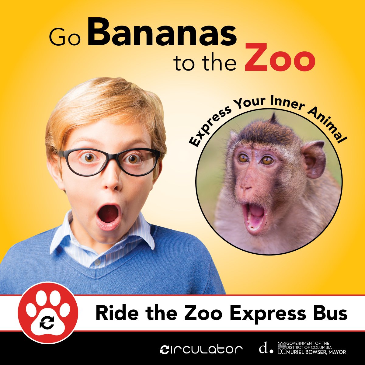 DCCirculator's tweet photo. What are your plans this weekend? It's a great weekend to get out and explore the @NationalZoo on the DC Circulator #ZooBus! Don't worry about parking, we will drop you off at the Zoo's main entrance. Learn more here: https://t.co/eQvngITEBL https://t.co/1eZzS3mCbF