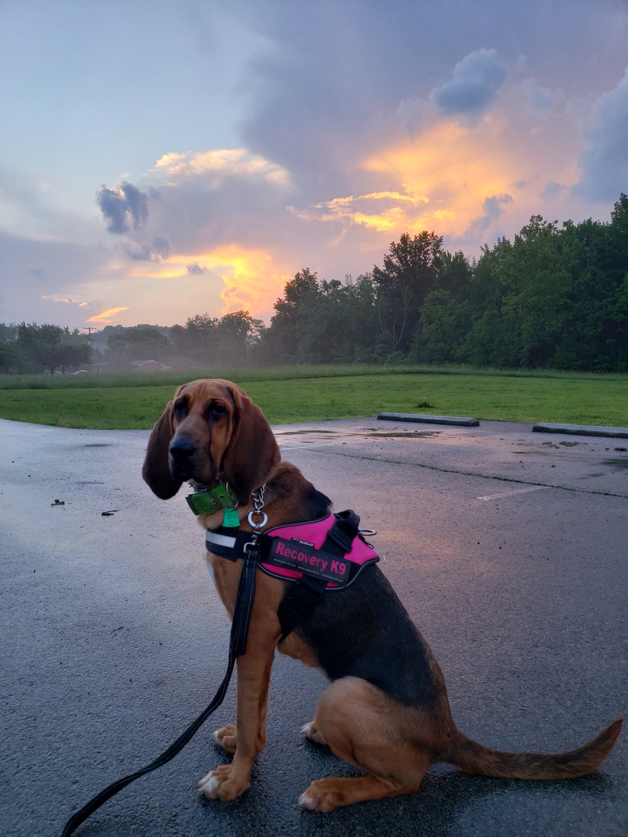 AvalonHRD's tweet photo. @MarcWeinbergWX last night while training the dog, I managed to snap this.  After the storms passed valley station https://t.co/KrhRCO3ckV