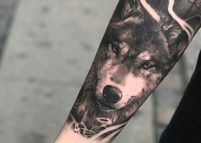 Black and grey wolf tattoo on the inner forearm.