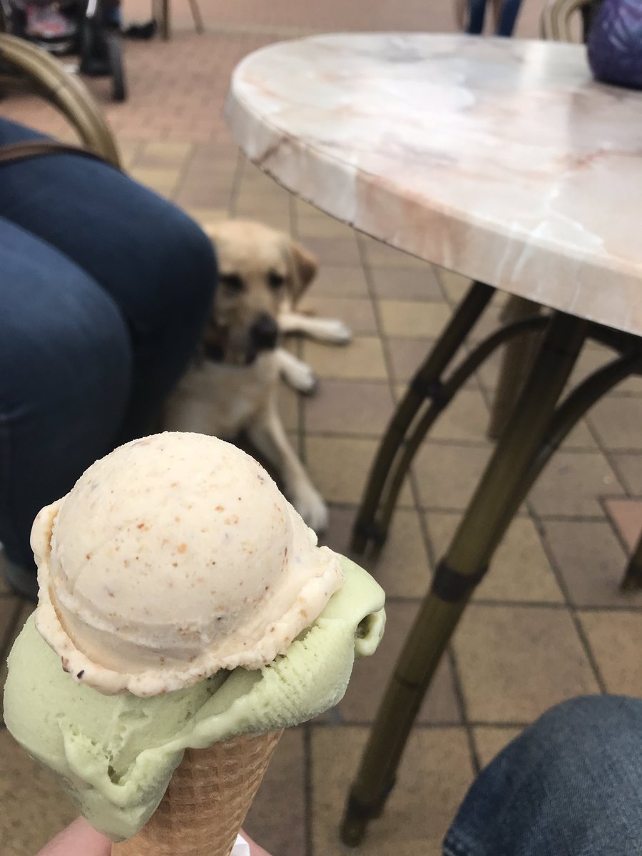 MetzGerard's tweet photo. Deze hebben we verdiend🍦!! Ook deze week een nieuwe instructie gestart. Hard gewerkt aan vertrouwen opbouwen en samenwerken. Trots op wat ze samen al hebben bereikt! Nu genieten van het weekend. @KNGFGeleidehond #geleidehond #ilovemyjob https://t.co/YgeSgNXa92