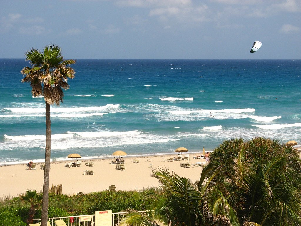 KeiserU's tweet photo. Itโs Florida Friday!
West Palm Beach was named by the Travel Channel 1 of the top 10 #beaches in #Florida, & 2 of our gorgeous KeiserU Campuses are located in #WestPalmBeach just a few miles from the #ocean!
โ๏ธ๐๐
#keiseruniversity #keiserwestpalmbeach #keiserflagship #topbeach https://t.co/JWWWrOI21P