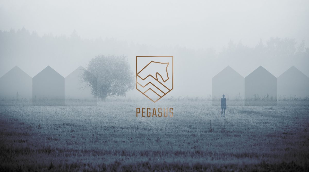 Lente: tijd voor nieuwe nieuwbouwprojecten! undefined - mailchi.mp/pegasusvastgoe…