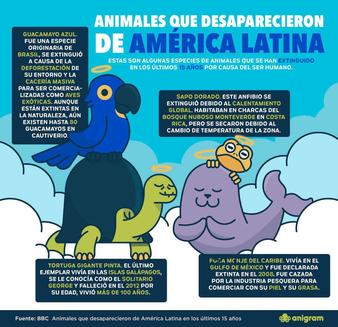 Anigram tweet media