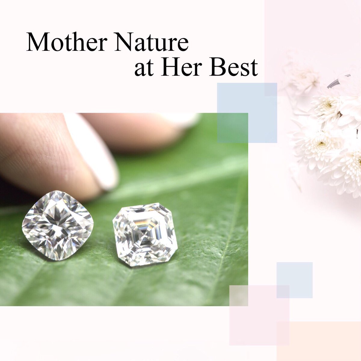 Bashert_Jewelry's tweet photo. Cushion or Asscher 💍💍💍
#Bashert #Bashertjewelry #springwedding #floridabride #Miamibridal #engagementring #miami  #engagement #diamond #diamonds  #miamiweddings #southflorida  #quince #wedding  #wedding #weddingplanner #floraldesigner #love #engaged #gettingmarried #springmood https://t.co/CsU4DRXODb