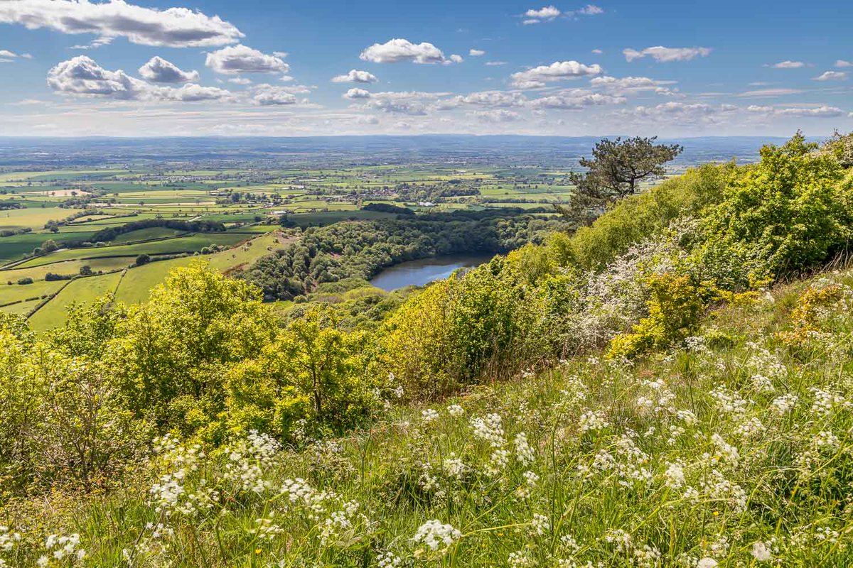 andrewswalks's tweet image. I can see for miles and miles...the incredible view from Sutton Bank seen on today's walk @northyorkmoors