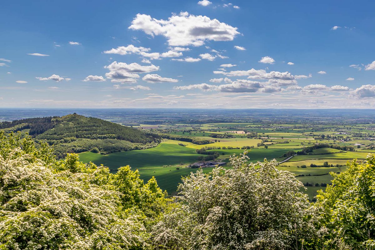 andrewswalks's tweet image. I can see for miles and miles...the incredible view from Sutton Bank seen on today's walk @northyorkmoors