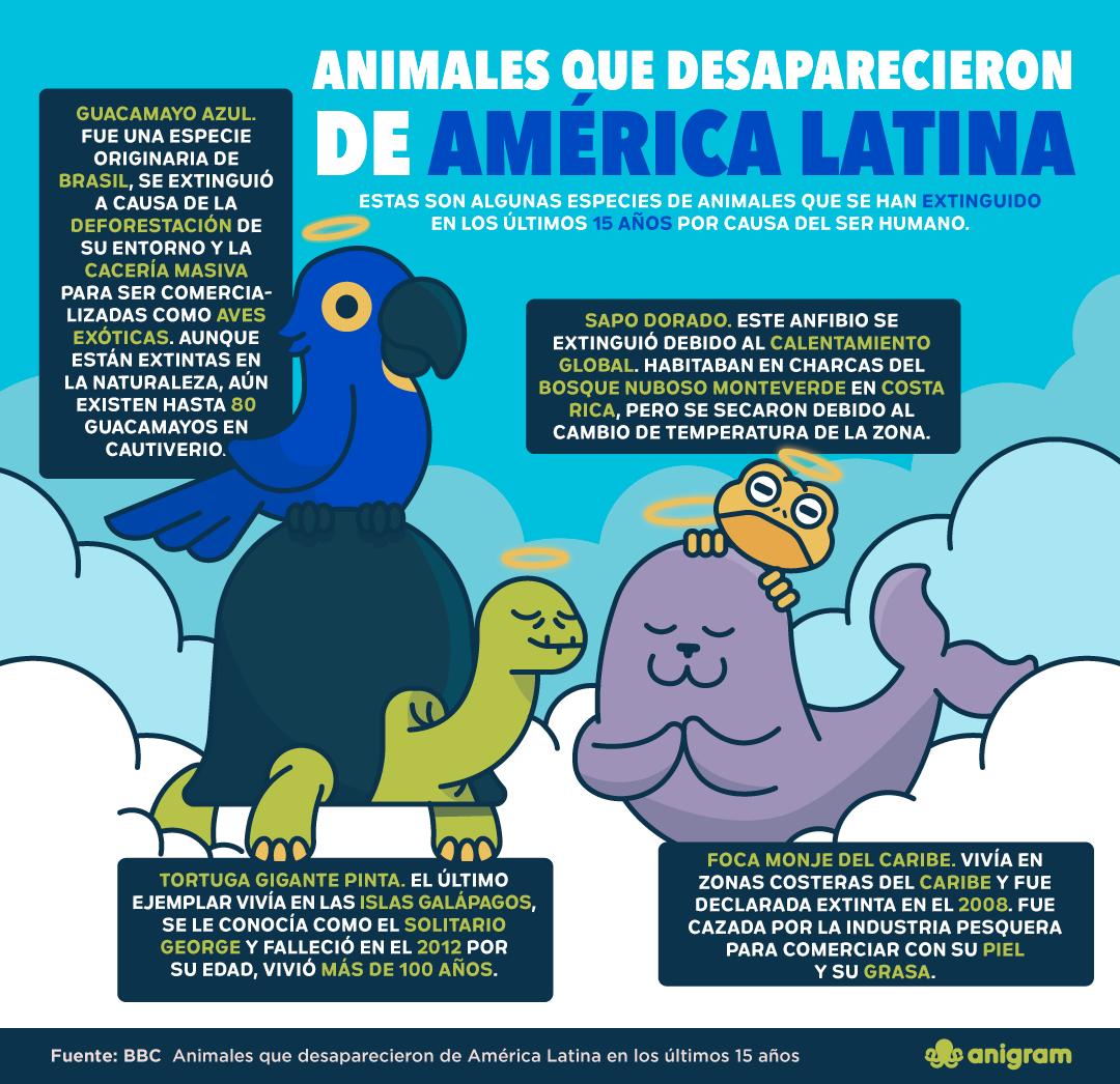 Anigram tweet media