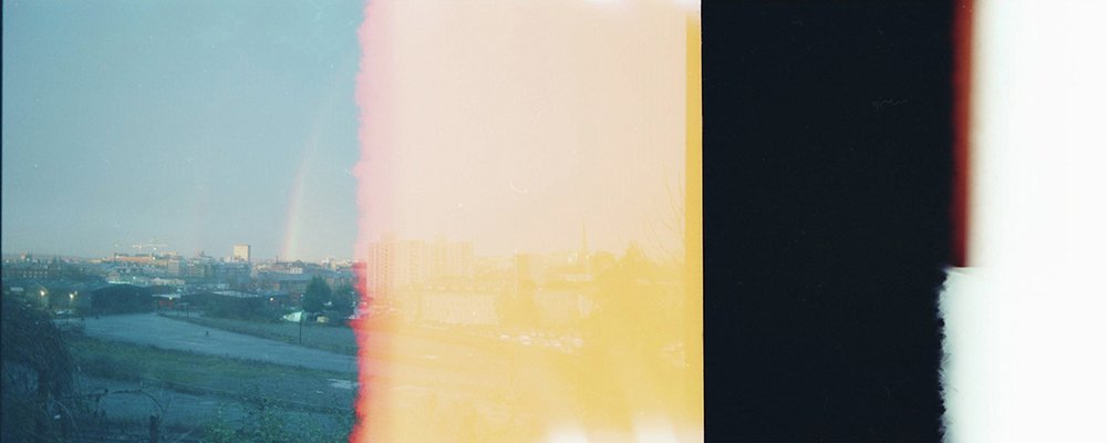 rowan lear tweet media