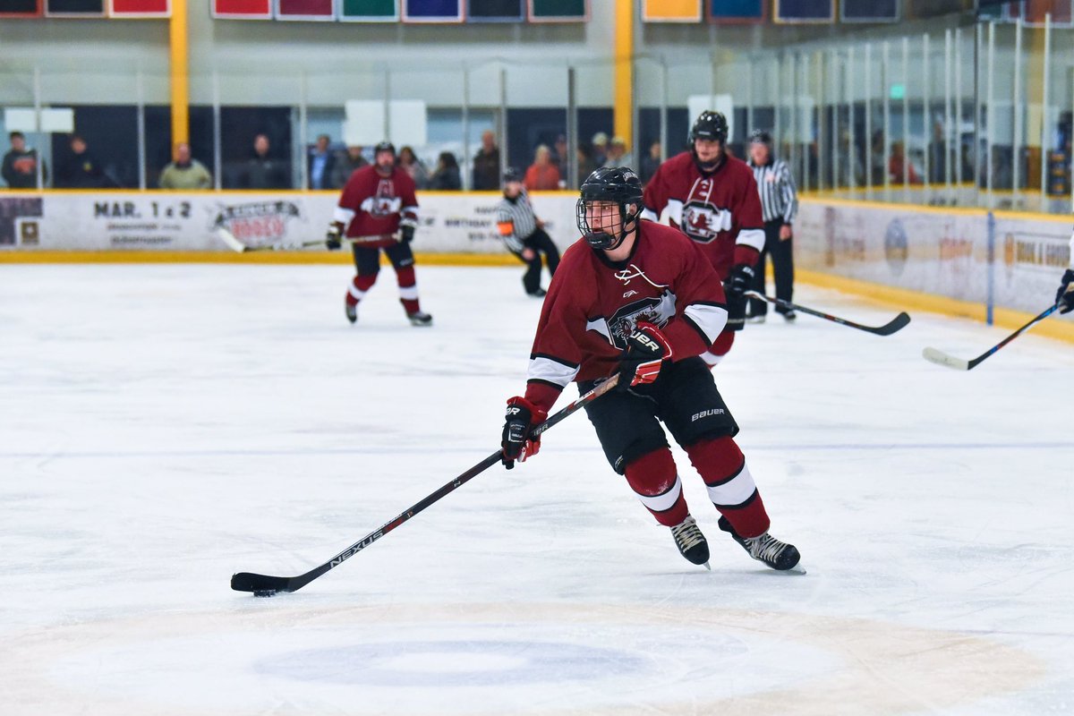 gamecock hockey jersey