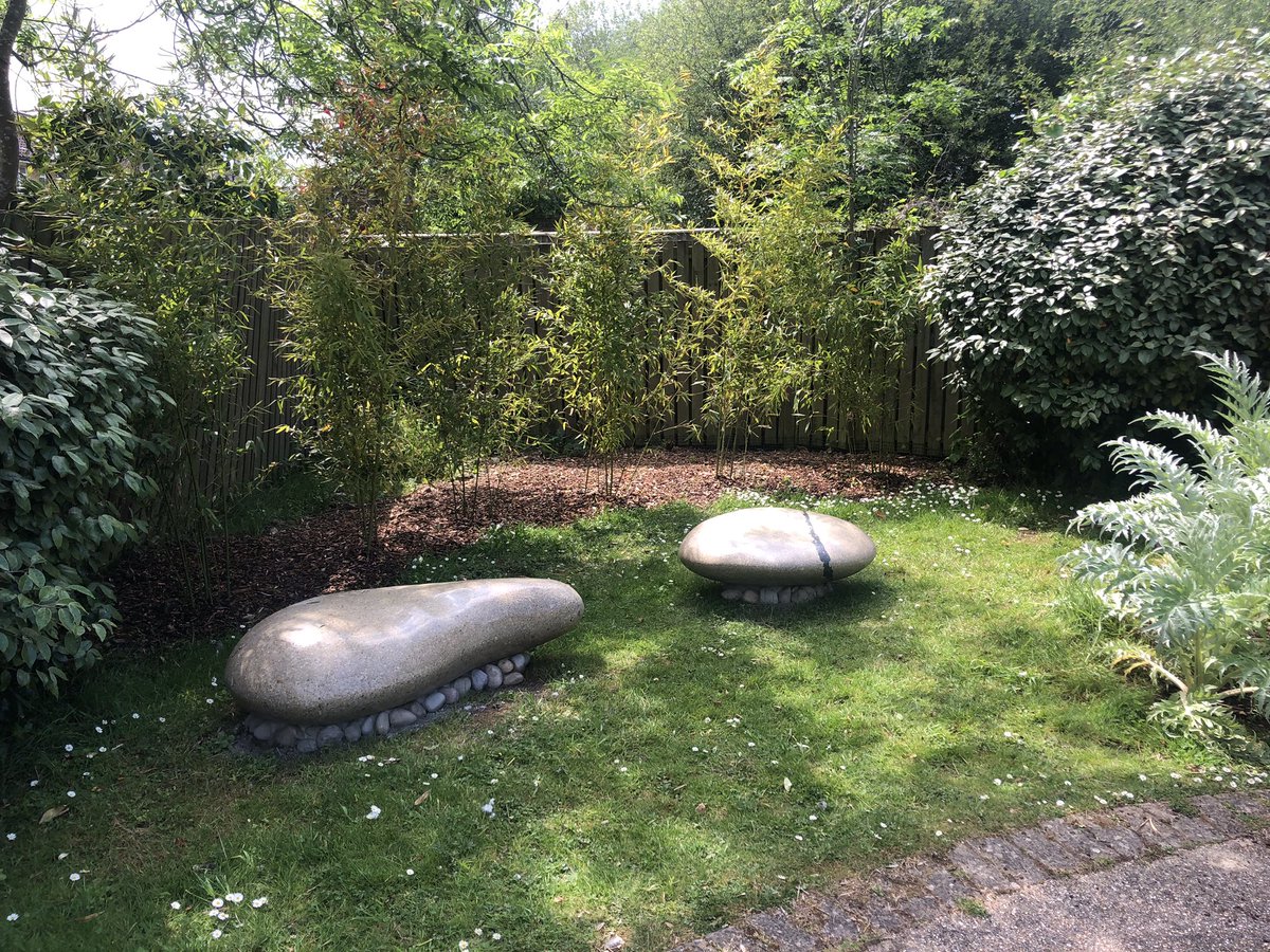 Occupational Therapy LGH tweet media