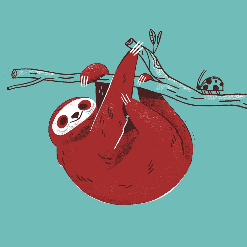 BrunoValasse's tweet image. #PygmySloth
Endangered species. 
#InternationalDayForBiologicalDiversity