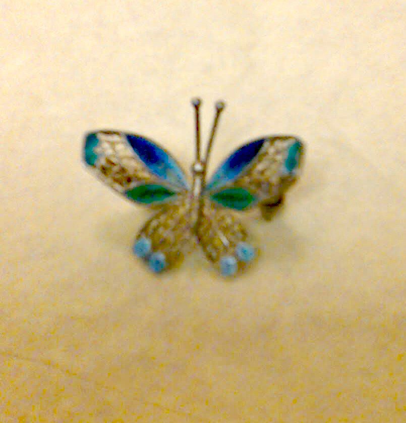 lorraine2448's tweet photo. Ladies add this delicate and whimsical butterfly to your wardrobe today
https://t.co/62digfrs8K Please Retweet #vintage #gradgiftideas #butterfly #summertime https://t.co/iV7oih05w5