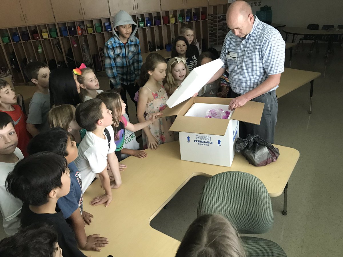 MissMarzheuser2's tweet photo. Best surprise EVER! Thanks Dad &amp;  @udf_official for surprising the deer class with ice cream as a last day treat🍦#masonmoment https://t.co/LspFI3TVLG