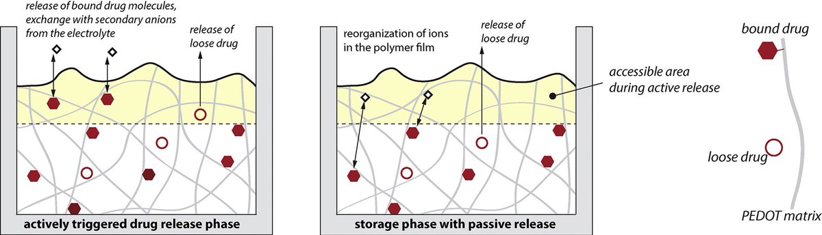 shop the mosaic cycle concept of ecosystems