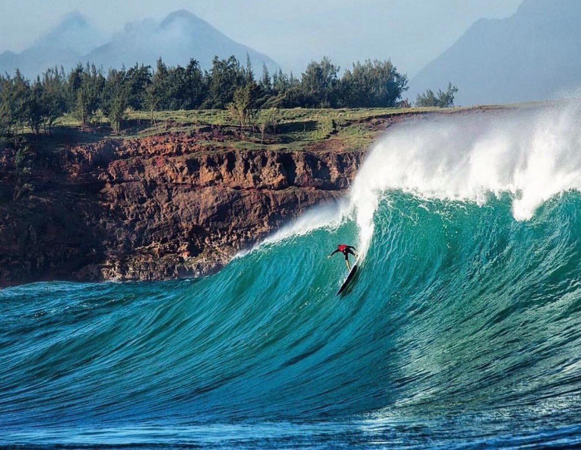 The Surf Channel tweet media