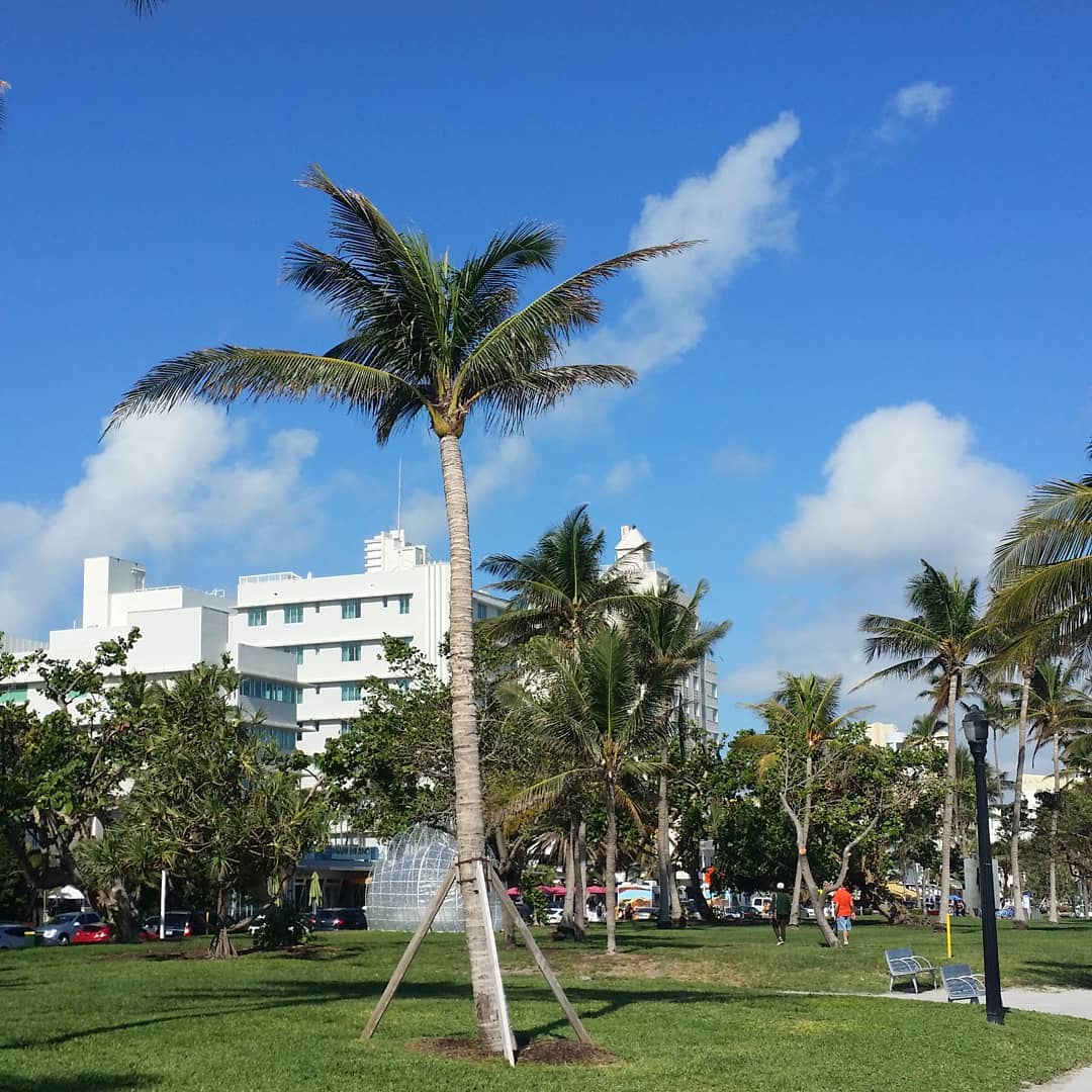 EMiamiBeach's tweet photo. Beautiful weather! #experiencemiamibeach #miamibeach #mbvca #sobe #southbeach #beachjunkie #tourist https://t.co/4wk4Ovo9sl https://t.co/HSr4Q7VNte