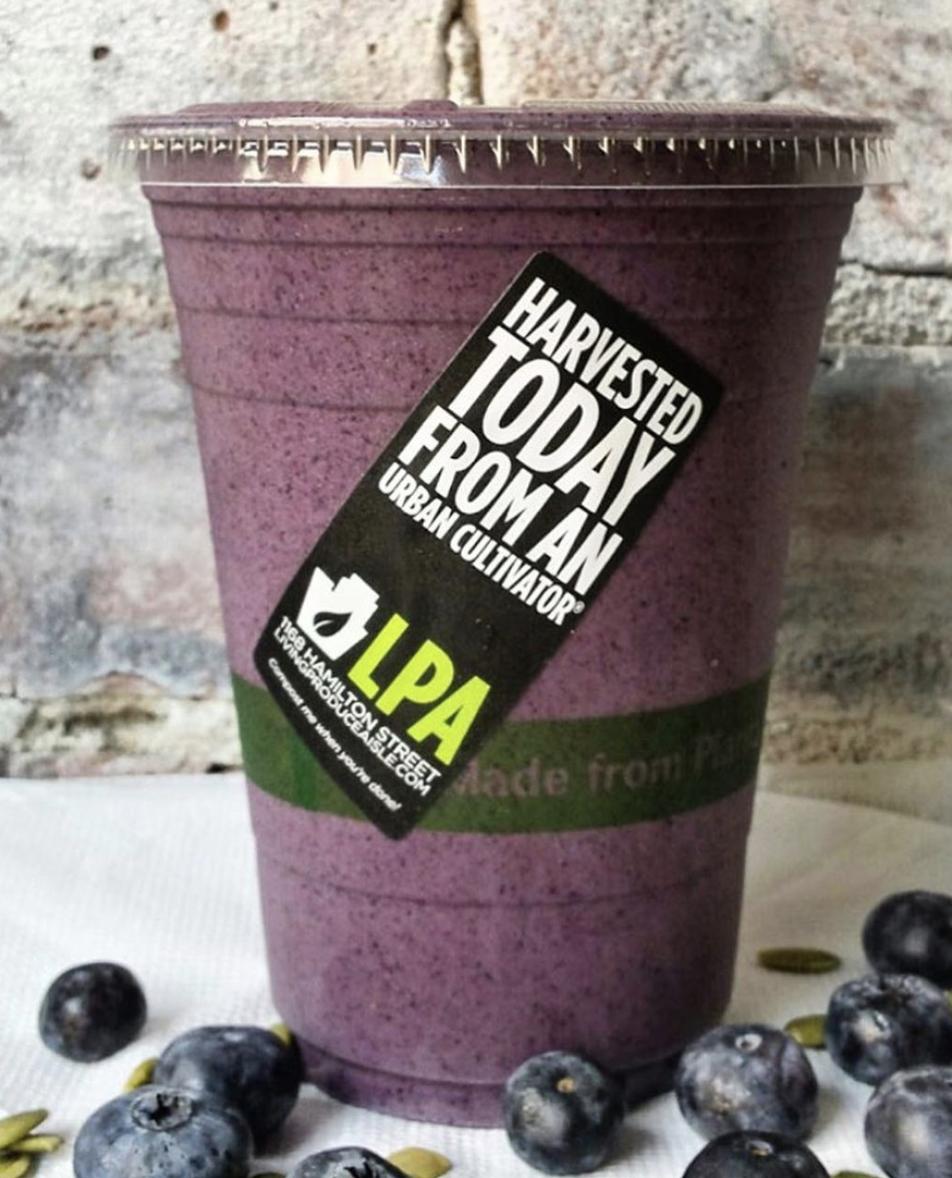 #ICYMI: The Blueberry Power back for the month of May! It’s a smoothie that packs a punch featuring vanilla protein powder, pumpkin seeds, peanut butter, cinnamon, and of course, blueberries. It tastes just like blueberry pie, so you're going to want one before it's gone! #yvr