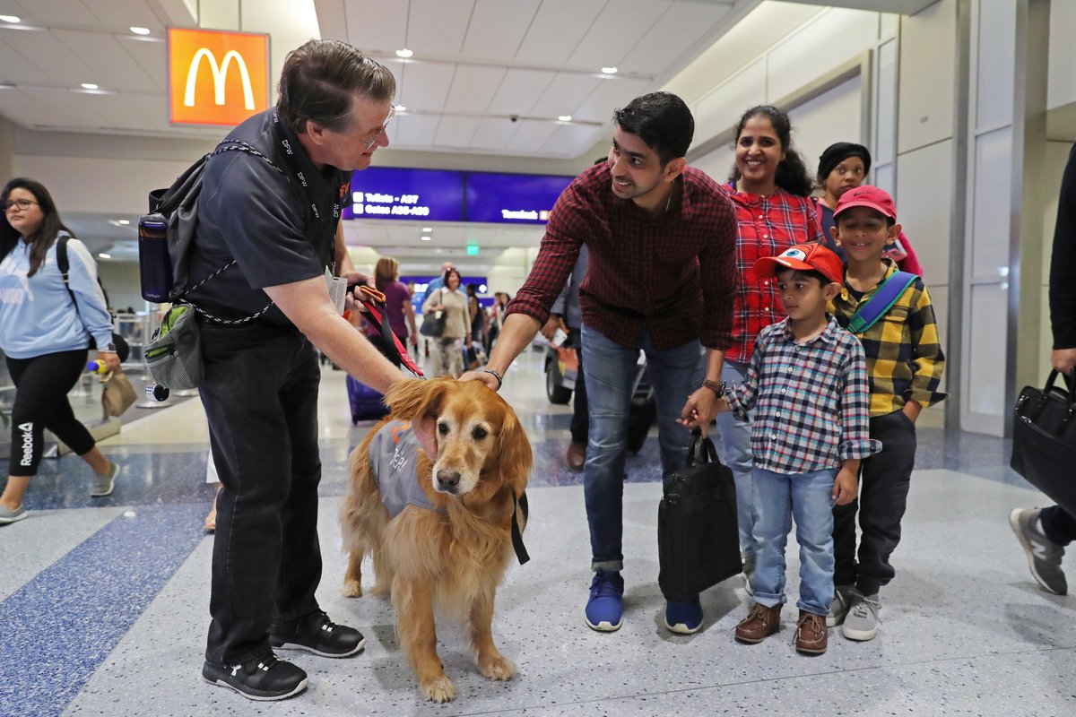 DFWAirport's tweet photo. ๐โ๏ธ This morning we celebrated #SummeratDFW with tunes ๐ถ, treats ๐ฅจ and therapy dogs ๐ฉ! S/o to our performer @HoggardJoshua and our Airport partners that provided free samples for our travelers! https://t.co/7oEMLBdqtr