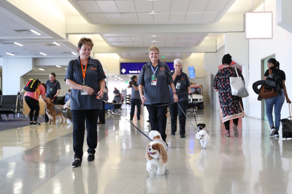 DFWAirport's tweet photo. ๐โ๏ธ This morning we celebrated #SummeratDFW with tunes ๐ถ, treats ๐ฅจ and therapy dogs ๐ฉ! S/o to our performer @HoggardJoshua and our Airport partners that provided free samples for our travelers! https://t.co/7oEMLBdqtr
