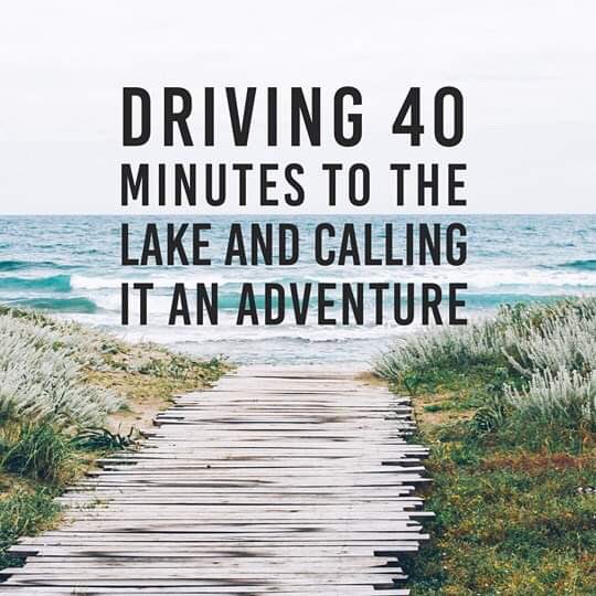 Chandler Reed tweet media