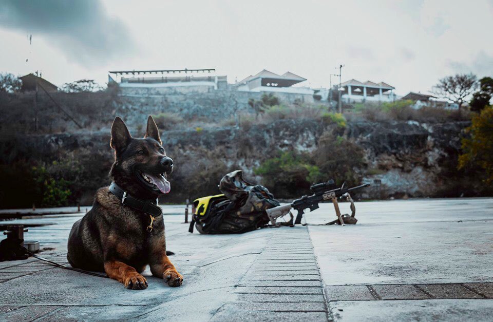 Een expeditionaire bewakingseenheid van de Luchtstrijdkrachten heeft de afgelopen twee weken op Curaçao getraind. Het betreft een eenheid van de zogenoemde Object Grondverdediging (OGRV) van vliegbasis Leeuwarden. <a href="/Defensie/">Ministerie van Defensie</a> <a href="/kon_marine/">Koninklijke Marine</a> <a href="/Kon_Luchtmacht/">Koninklijke Luchtmacht</a> facebook.com/64299233572047…