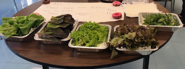 HighlandsMS_WP's tweet photo. Bounty from @HighlandsMS_WP garden!! #SpringHerbs #Fresh #WPProud https://t.co/7wbW7x1n7J