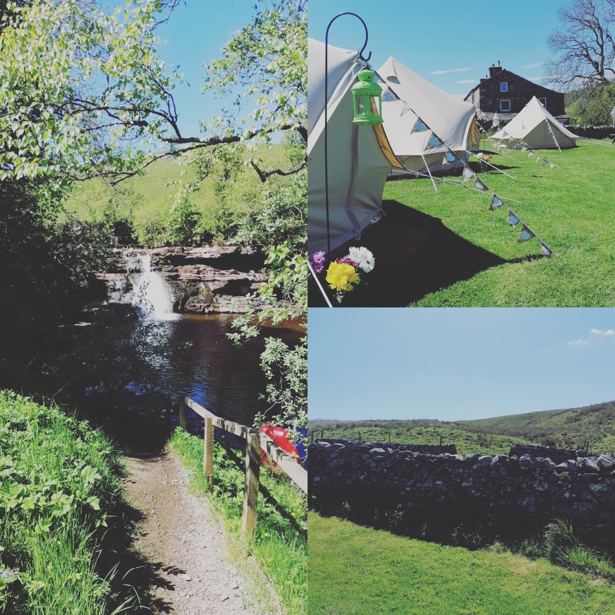 Bells_Breakfast's tweet image. Sunshine, bell tents and a beautiful location #belltents #belltenthire #Yorkshire